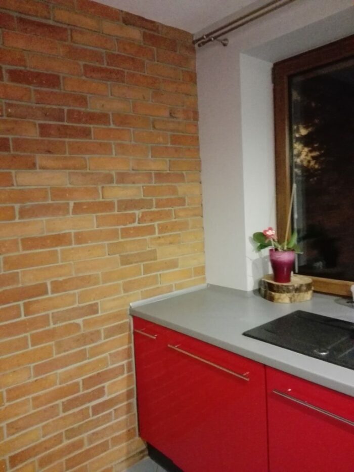 Backsteinwand in der Küche rote Möbel